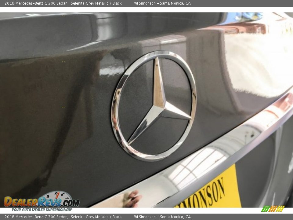2018 Mercedes-Benz C 300 Sedan Selenite Grey Metallic / Black Photo #28