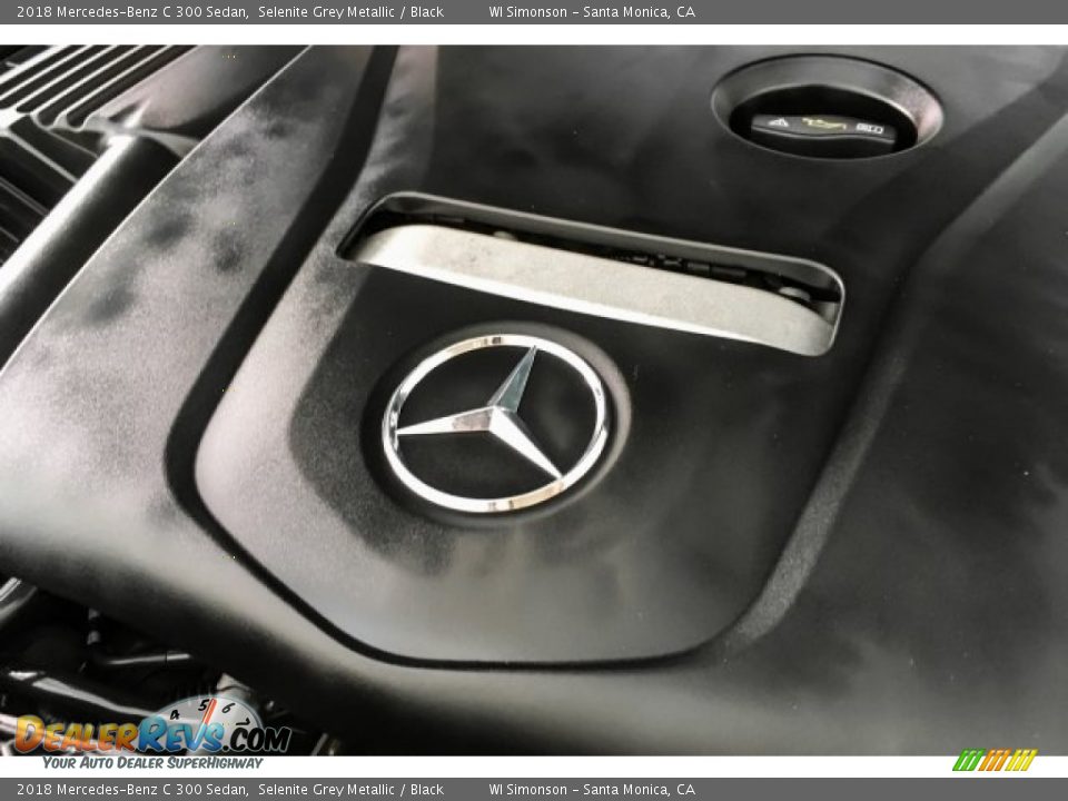 2018 Mercedes-Benz C 300 Sedan Selenite Grey Metallic / Black Photo #32