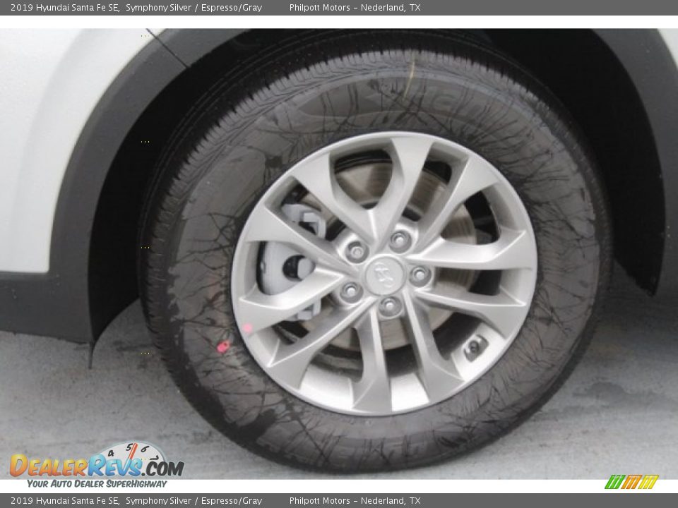 2019 Hyundai Santa Fe SE Symphony Silver / Espresso/Gray Photo #5