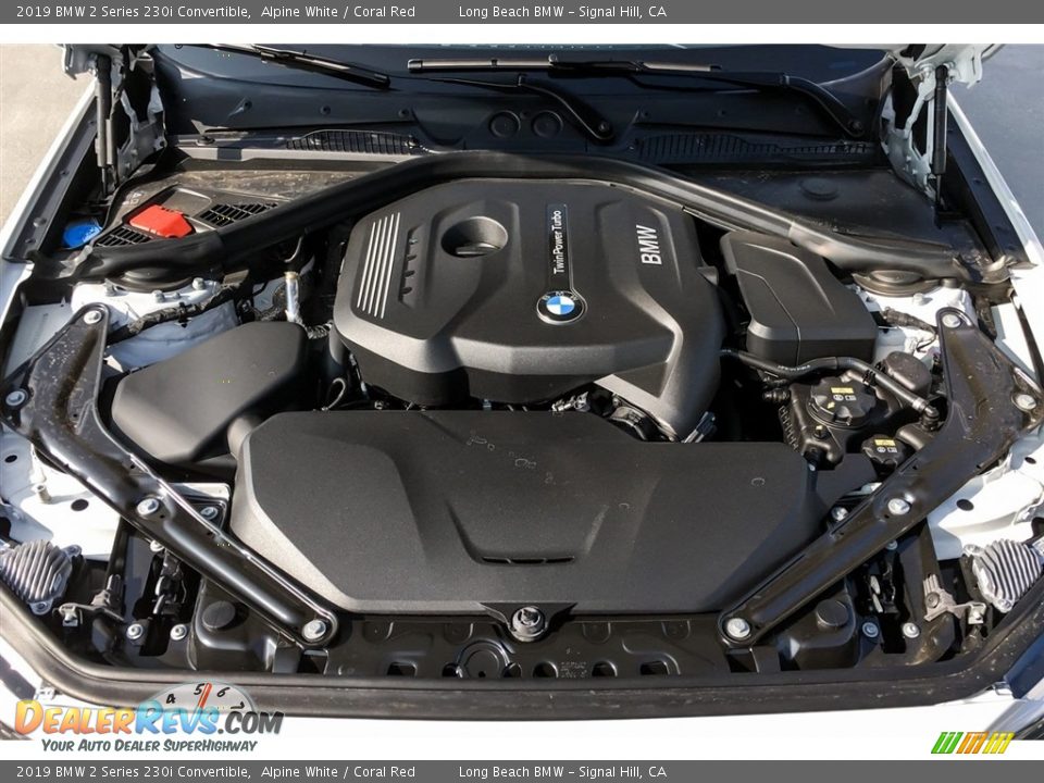 2019 BMW 2 Series 230i Convertible Alpine White / Coral Red Photo #8