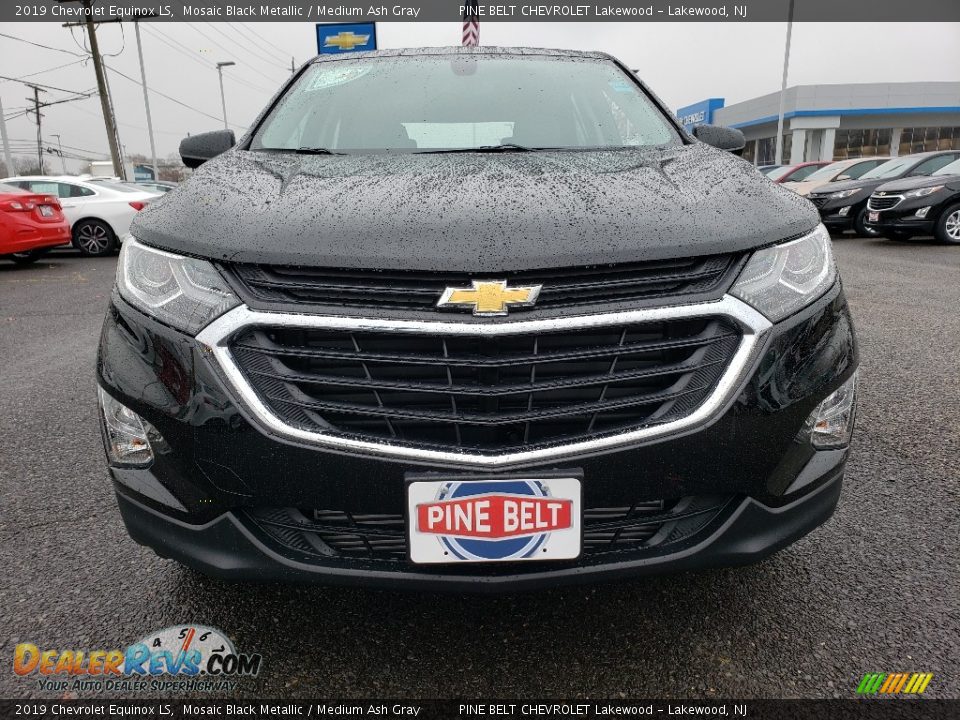2019 Chevrolet Equinox LS Mosaic Black Metallic / Medium Ash Gray Photo #2
