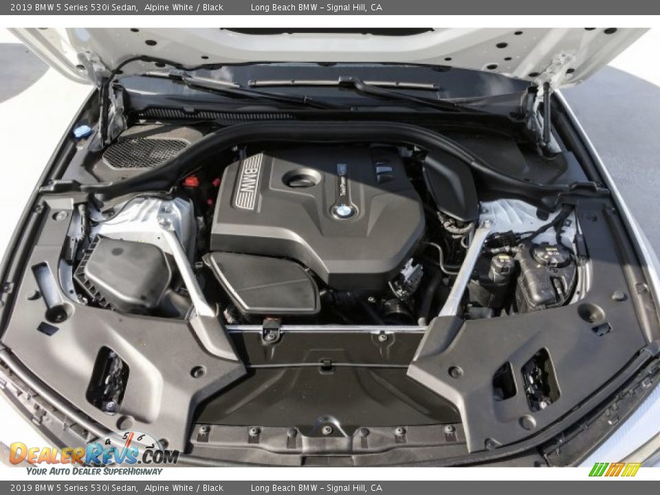 2019 BMW 5 Series 530i Sedan Alpine White / Black Photo #8