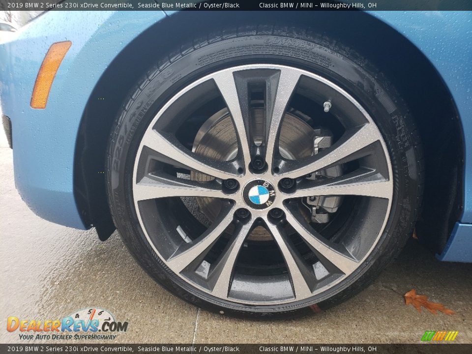 2019 BMW 2 Series 230i xDrive Convertible Wheel Photo #3