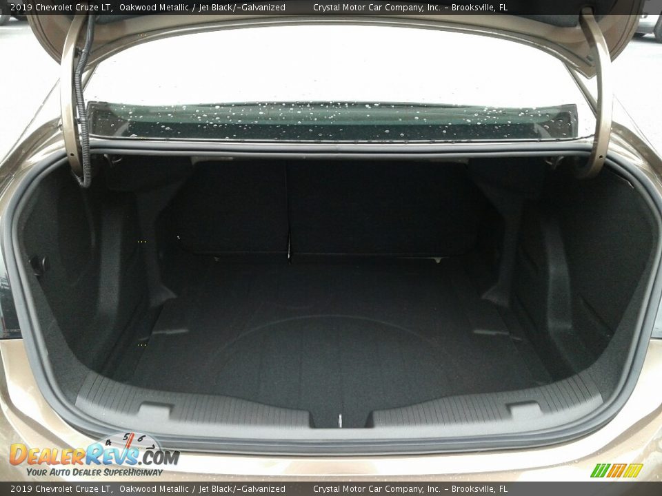 2019 Chevrolet Cruze LT Oakwood Metallic / Jet Black/­Galvanized Photo #19