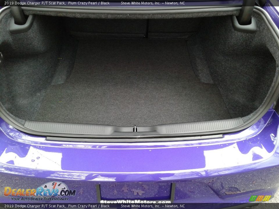 2019 Dodge Charger R/T Scat Pack Plum Crazy Pearl / Black Photo #12