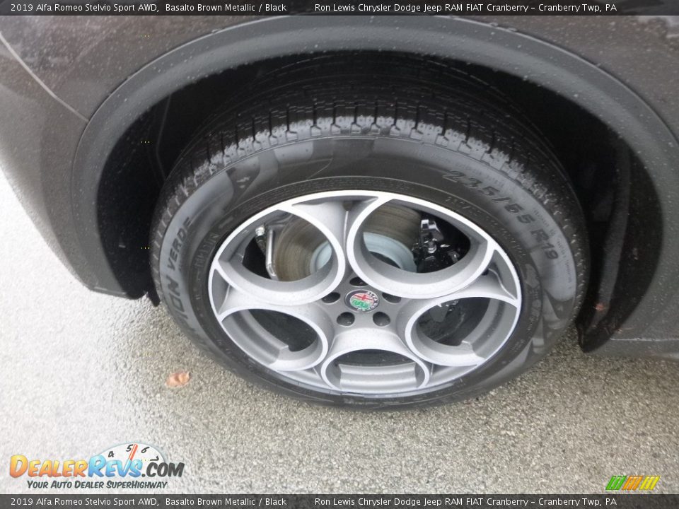 2019 Alfa Romeo Stelvio Sport AWD Basalto Brown Metallic / Black Photo #3