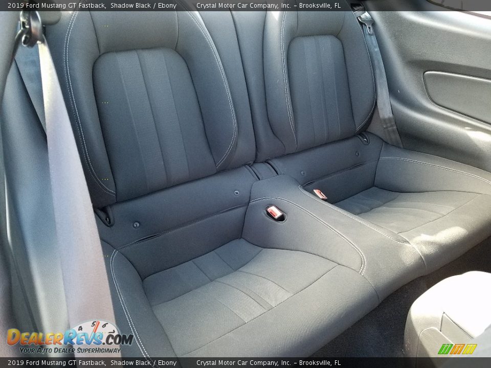2019 Ford Mustang GT Fastback Shadow Black / Ebony Photo #11