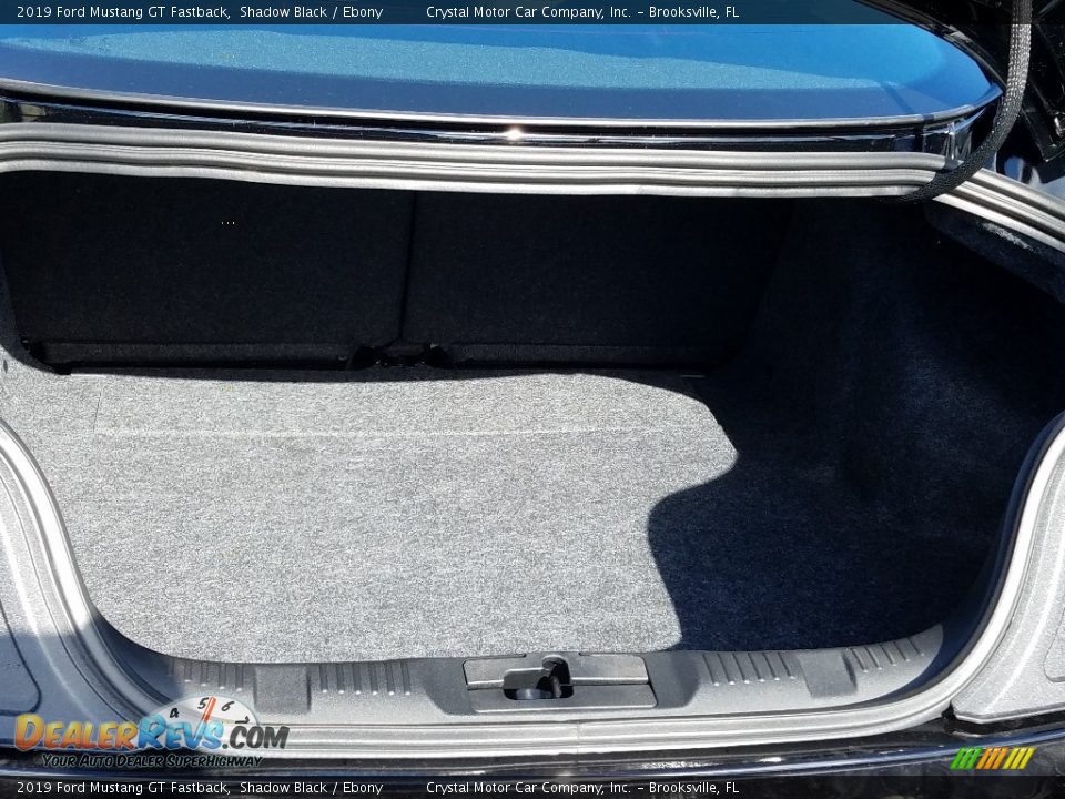 2019 Ford Mustang GT Fastback Shadow Black / Ebony Photo #19