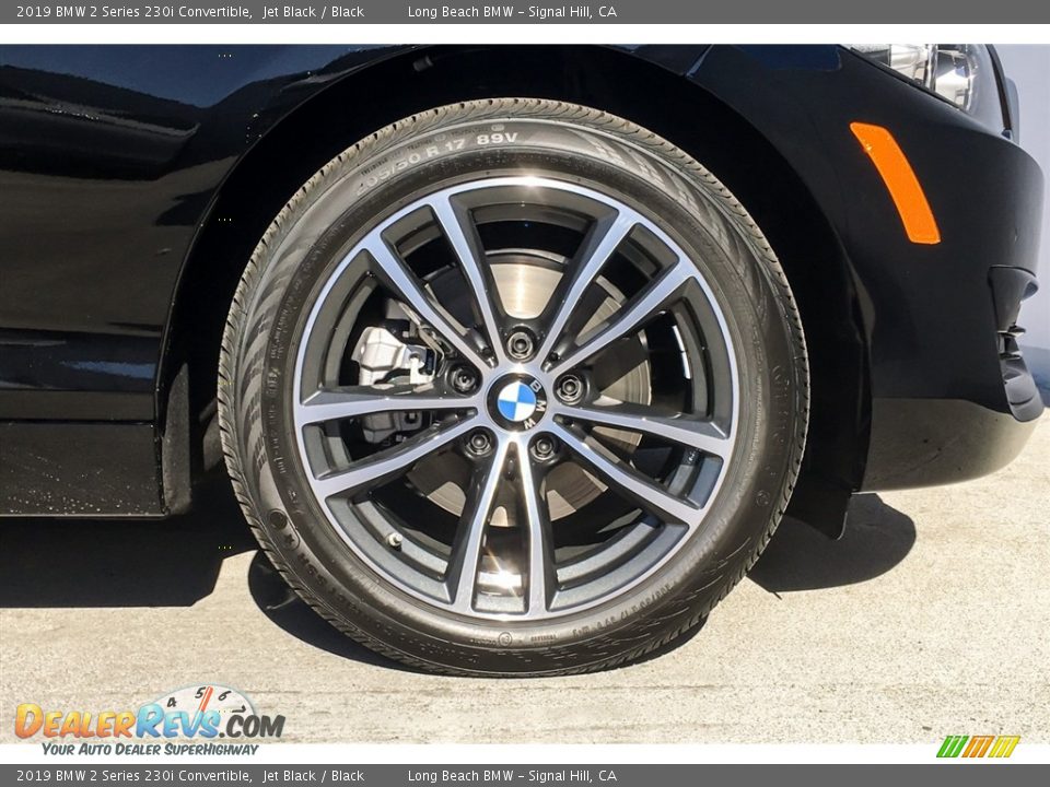 2019 BMW 2 Series 230i Convertible Jet Black / Black Photo #9