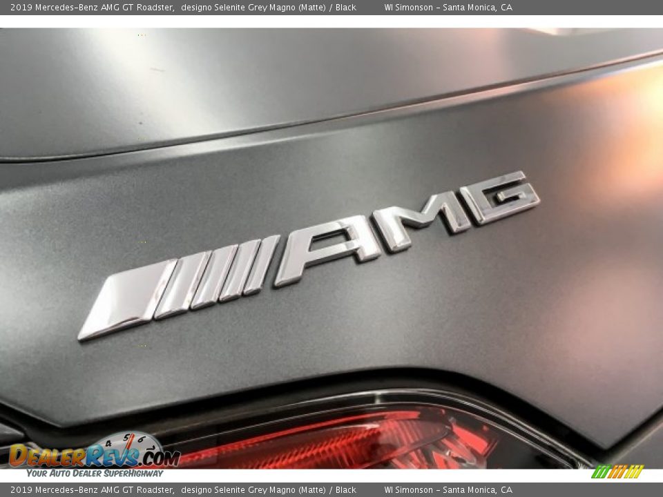 2019 Mercedes-Benz AMG GT Roadster Logo Photo #7