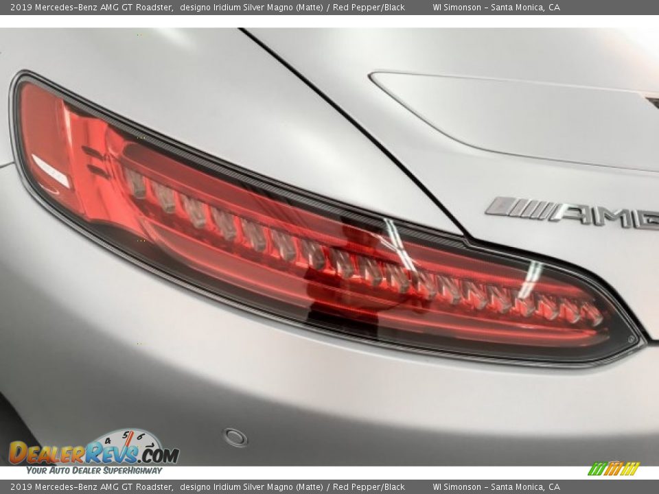 2019 Mercedes-Benz AMG GT Roadster designo Iridium Silver Magno (Matte) / Red Pepper/Black Photo #25