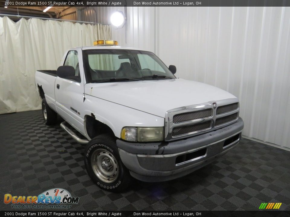 2001 Dodge Ram 1500 ST Regular Cab 4x4 Bright White / Agate Photo #4