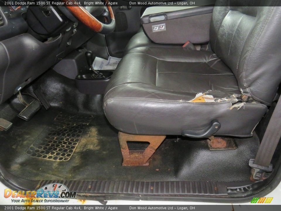 2001 Dodge Ram 1500 ST Regular Cab 4x4 Bright White / Agate Photo #15