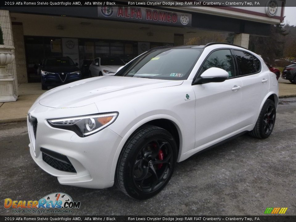 Front 3/4 View of 2019 Alfa Romeo Stelvio Quadrifoglio AWD Photo #2