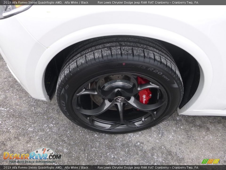 2019 Alfa Romeo Stelvio Quadrifoglio AWD Wheel Photo #3