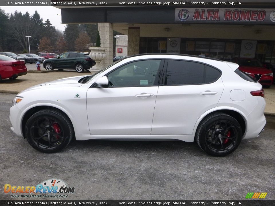Alfa White 2019 Alfa Romeo Stelvio Quadrifoglio AWD Photo #4