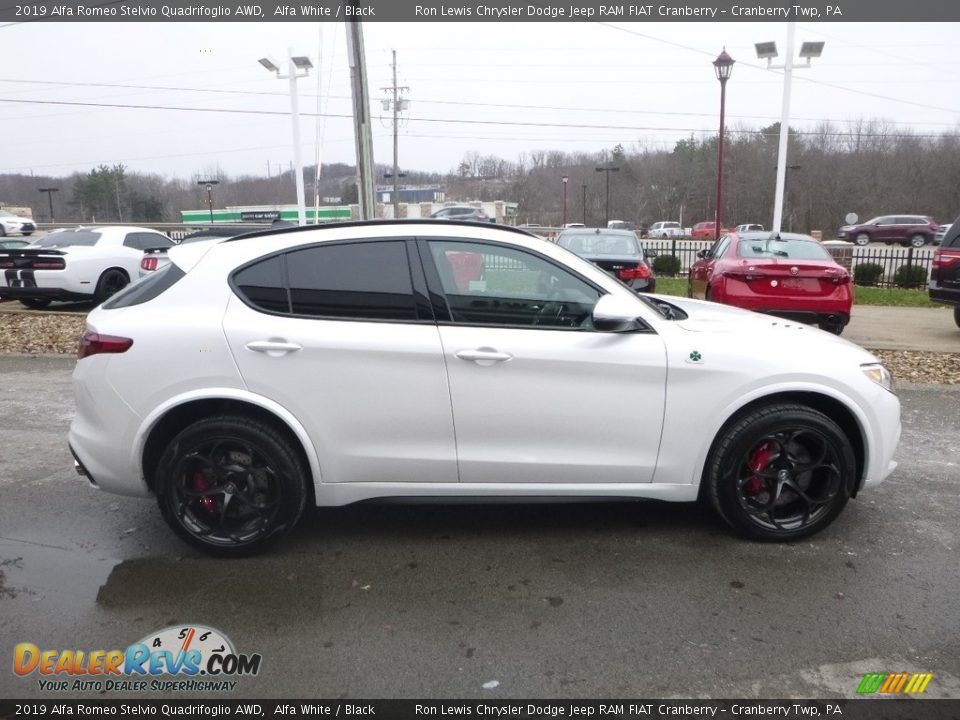 Alfa White 2019 Alfa Romeo Stelvio Quadrifoglio AWD Photo #10