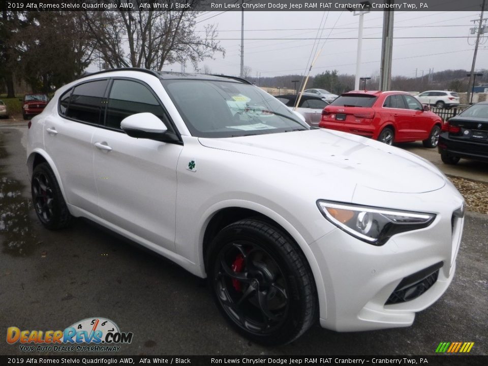 Alfa White 2019 Alfa Romeo Stelvio Quadrifoglio AWD Photo #11