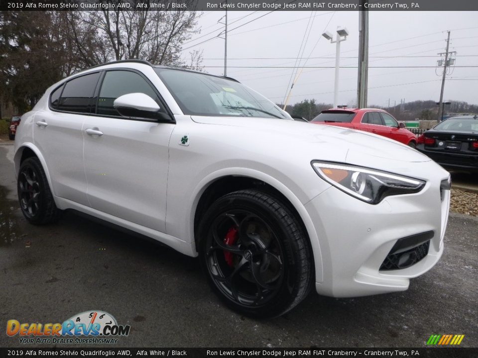 2019 Alfa Romeo Stelvio Quadrifoglio AWD Alfa White / Black Photo #12