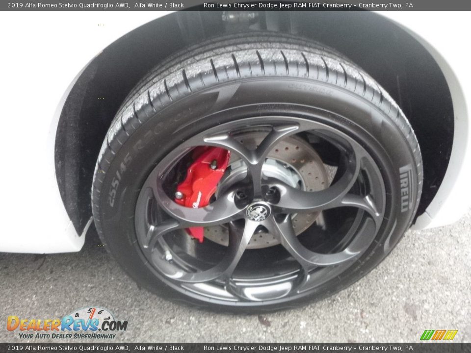2019 Alfa Romeo Stelvio Quadrifoglio AWD Wheel Photo #14