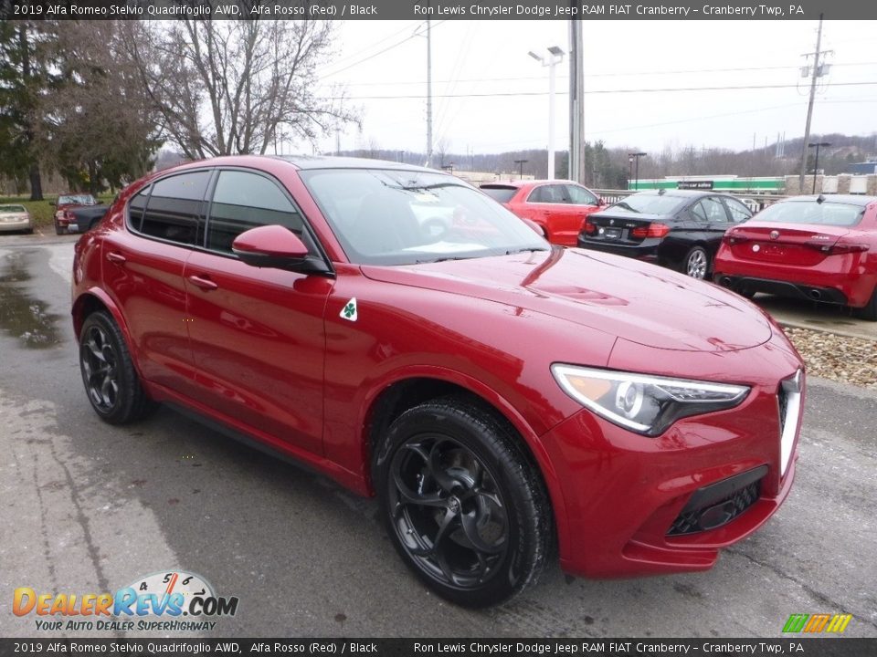 Front 3/4 View of 2019 Alfa Romeo Stelvio Quadrifoglio AWD Photo #11