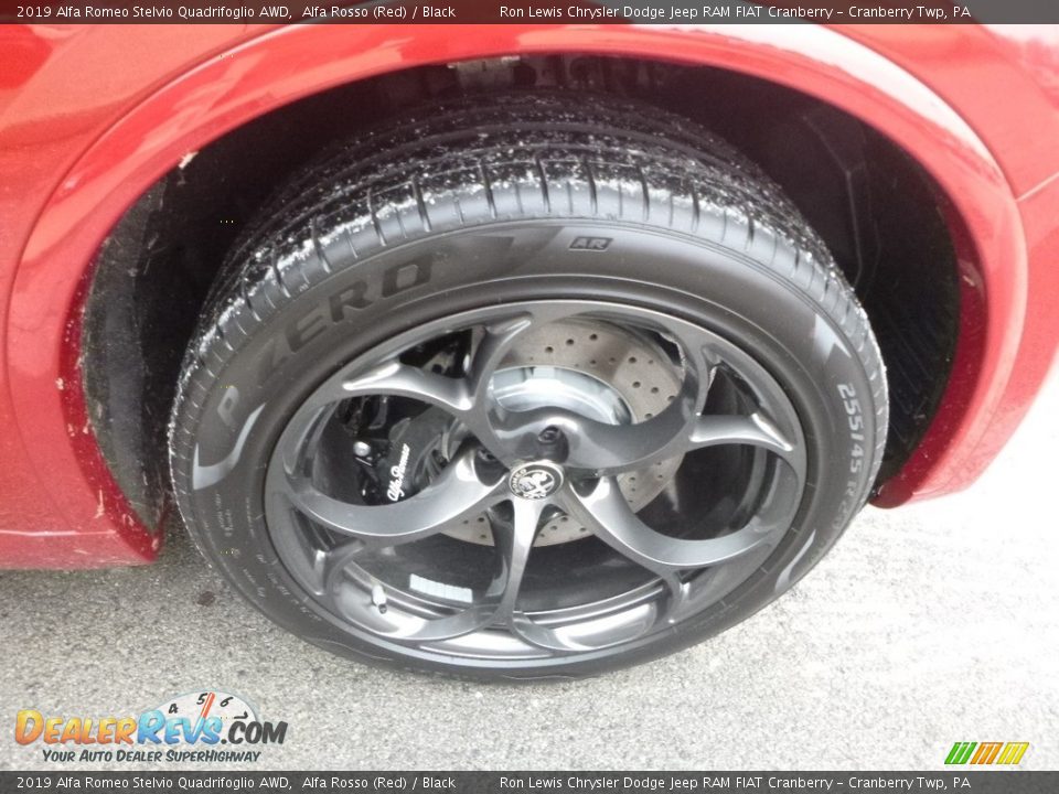 2019 Alfa Romeo Stelvio Quadrifoglio AWD Wheel Photo #14