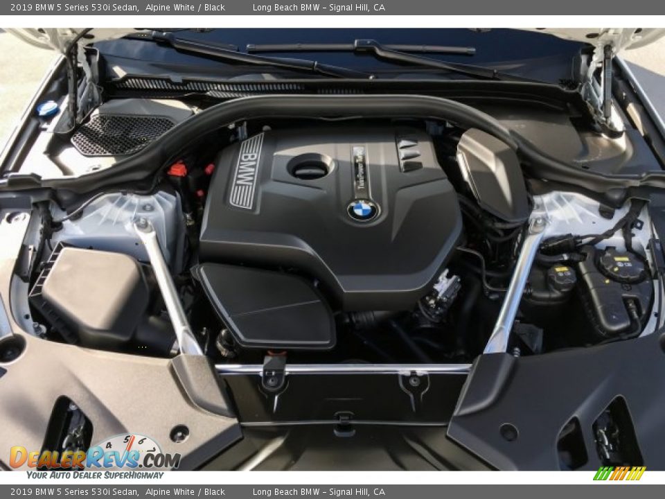2019 BMW 5 Series 530i Sedan Alpine White / Black Photo #8