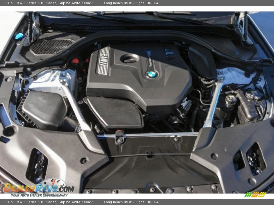 2019 BMW 5 Series 530i Sedan Alpine White / Black Photo #8