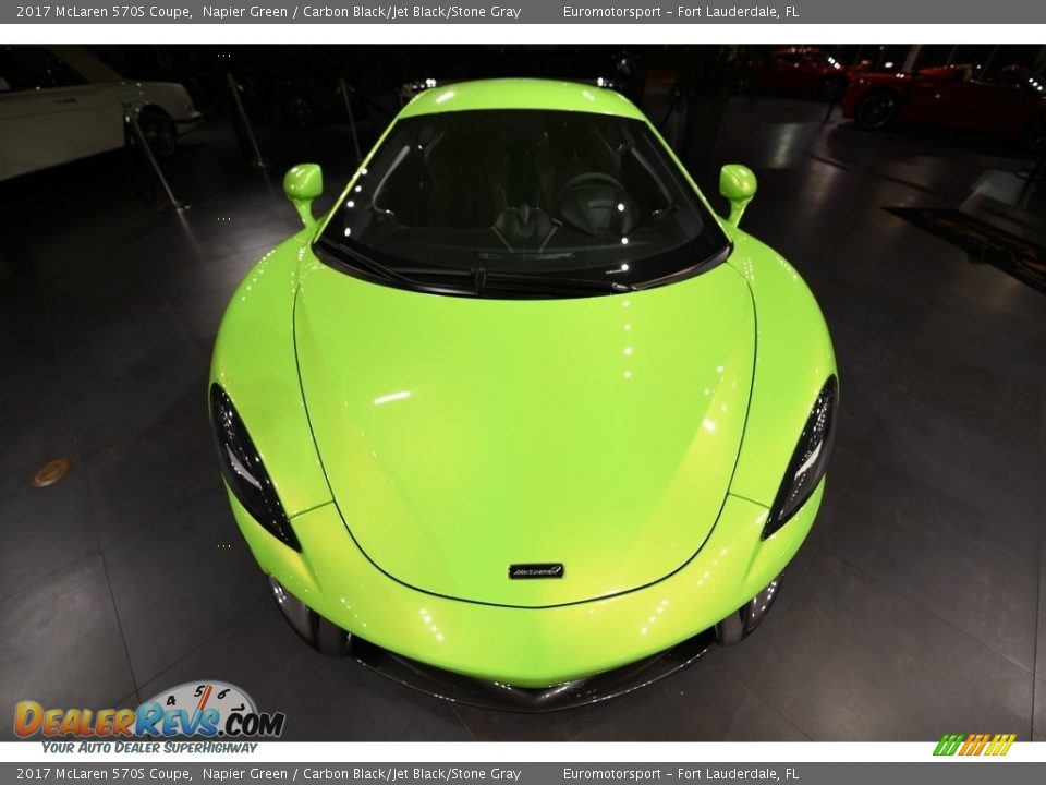 Napier Green 2017 McLaren 570S Coupe Photo #5