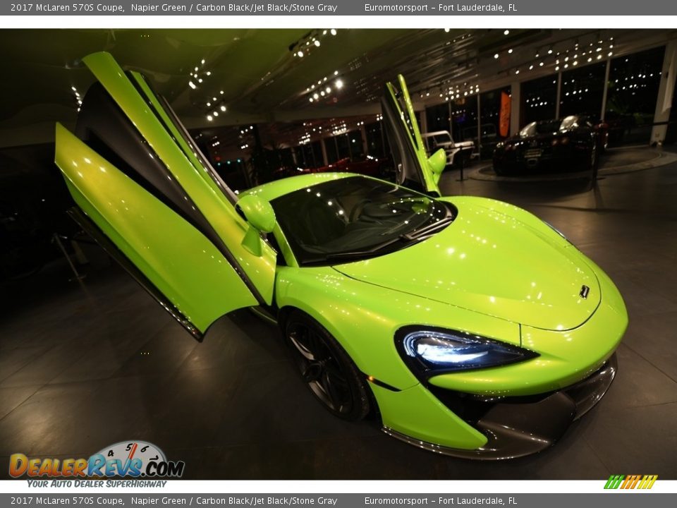 Napier Green 2017 McLaren 570S Coupe Photo #21
