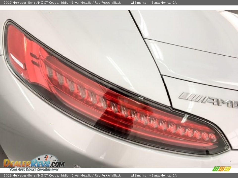 2019 Mercedes-Benz AMG GT Coupe Iridium Silver Metallic / Red Pepper/Black Photo #25