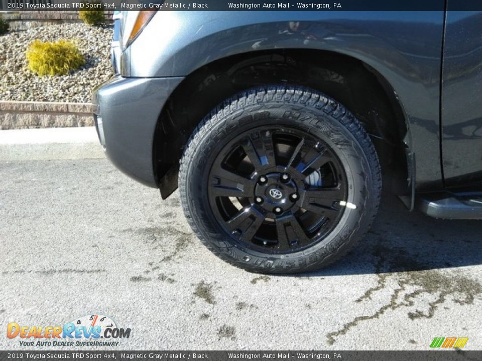 2019 Toyota Sequoia TRD Sport 4x4 Magnetic Gray Metallic / Black Photo #9