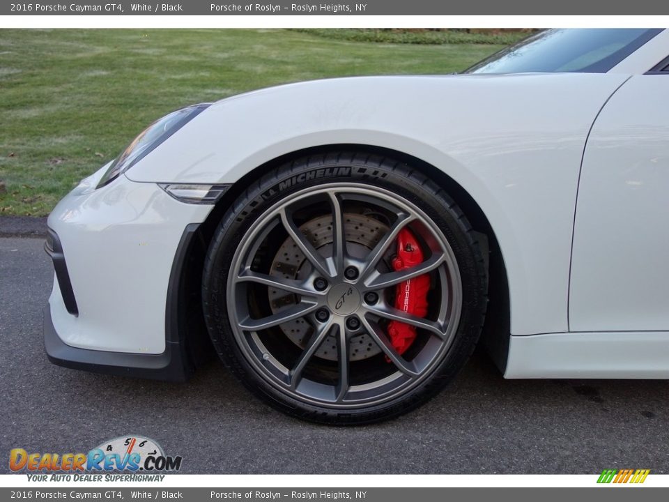 2016 Porsche Cayman GT4 White / Black Photo #9