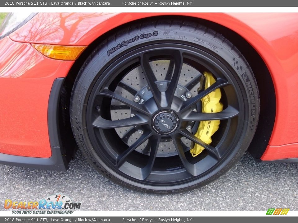 2018 Porsche 911 GT3 Wheel Photo #11
