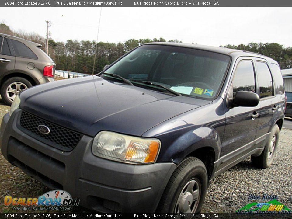 2004 Ford Escape XLS V6 True Blue Metallic / Medium/Dark Flint Photo #2