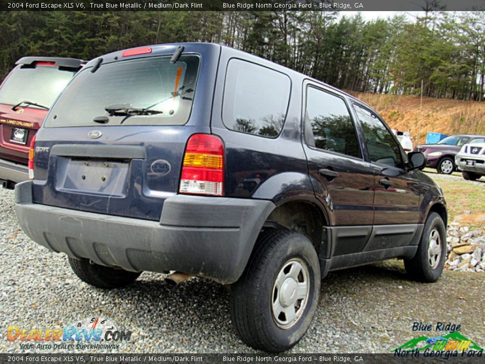 2004 Ford Escape XLS V6 True Blue Metallic / Medium/Dark Flint Photo #3