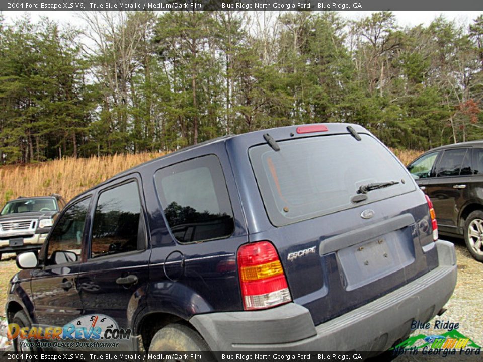 2004 Ford Escape XLS V6 True Blue Metallic / Medium/Dark Flint Photo #4