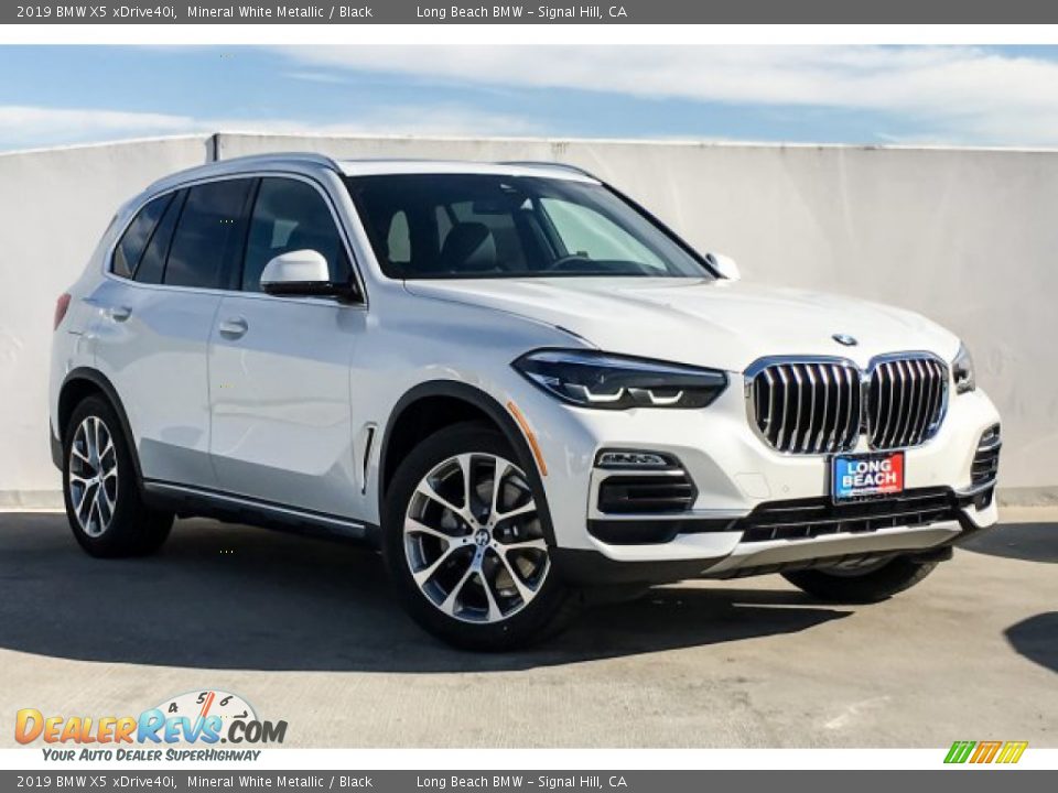 2019 BMW X5 xDrive40i Mineral White Metallic / Black Photo #12