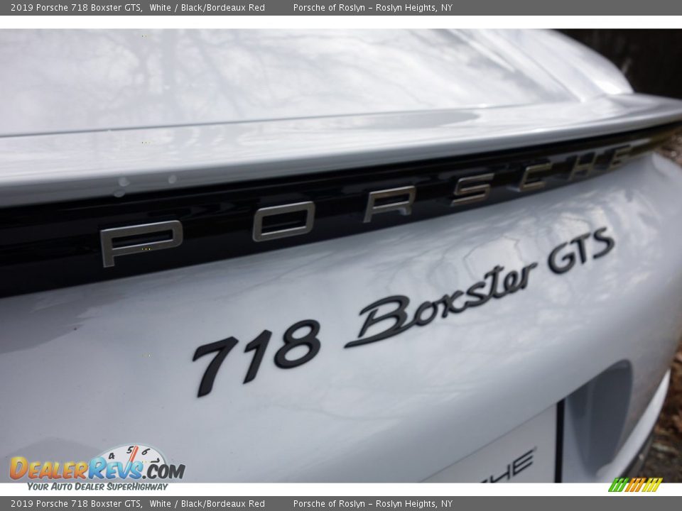 2019 Porsche 718 Boxster GTS Logo Photo #9