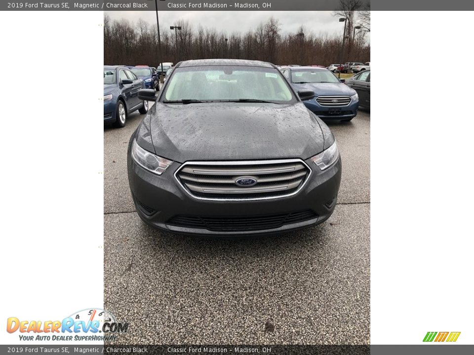 2019 Ford Taurus SE Magnetic / Charcoal Black Photo #2