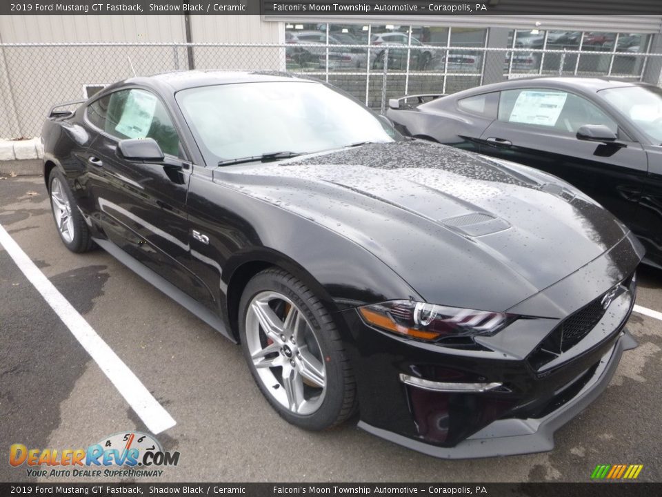 2019 Ford Mustang GT Fastback Shadow Black / Ceramic Photo #3