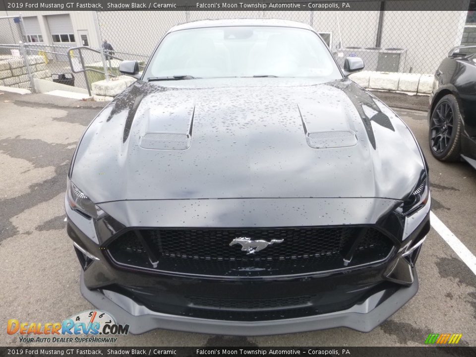 2019 Ford Mustang GT Fastback Shadow Black / Ceramic Photo #4