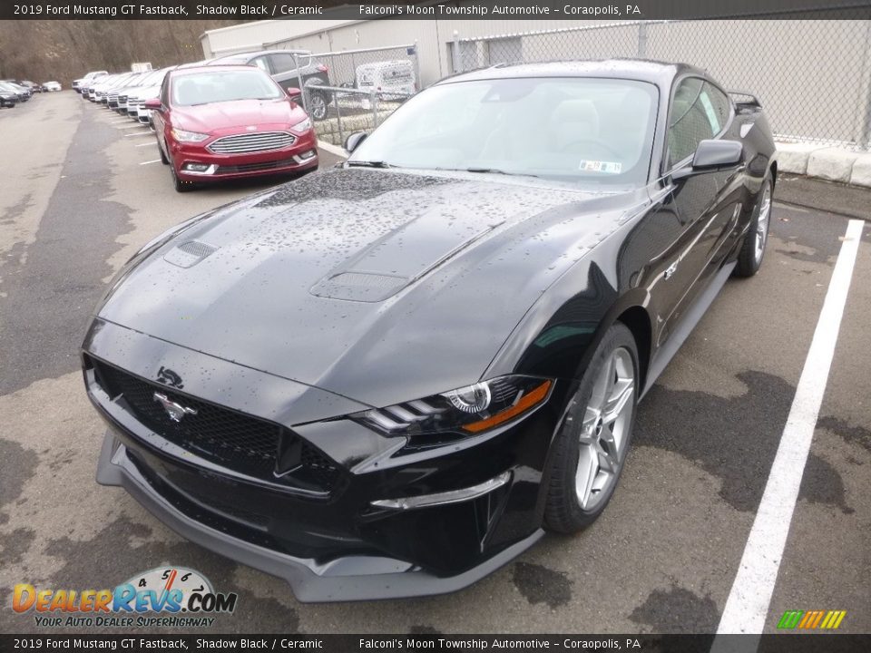 2019 Ford Mustang GT Fastback Shadow Black / Ceramic Photo #5