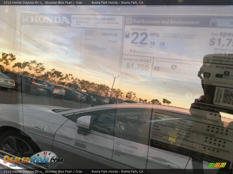 2019 Honda Odyssey EX-L Obsidian Blue Pearl / Gray Photo #10