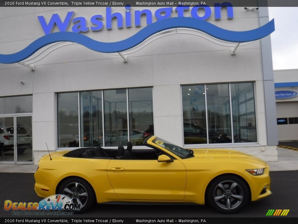 2016 Ford Mustang V6 Convertible Triple Yellow Tricoat / Ebony Photo #5