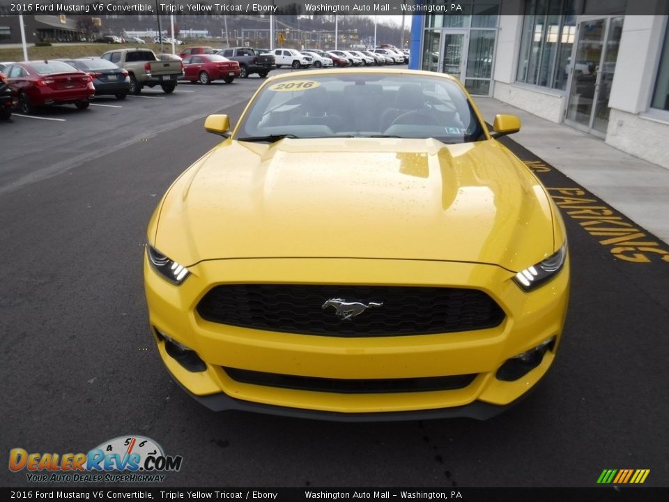 2016 Ford Mustang V6 Convertible Triple Yellow Tricoat / Ebony Photo #8