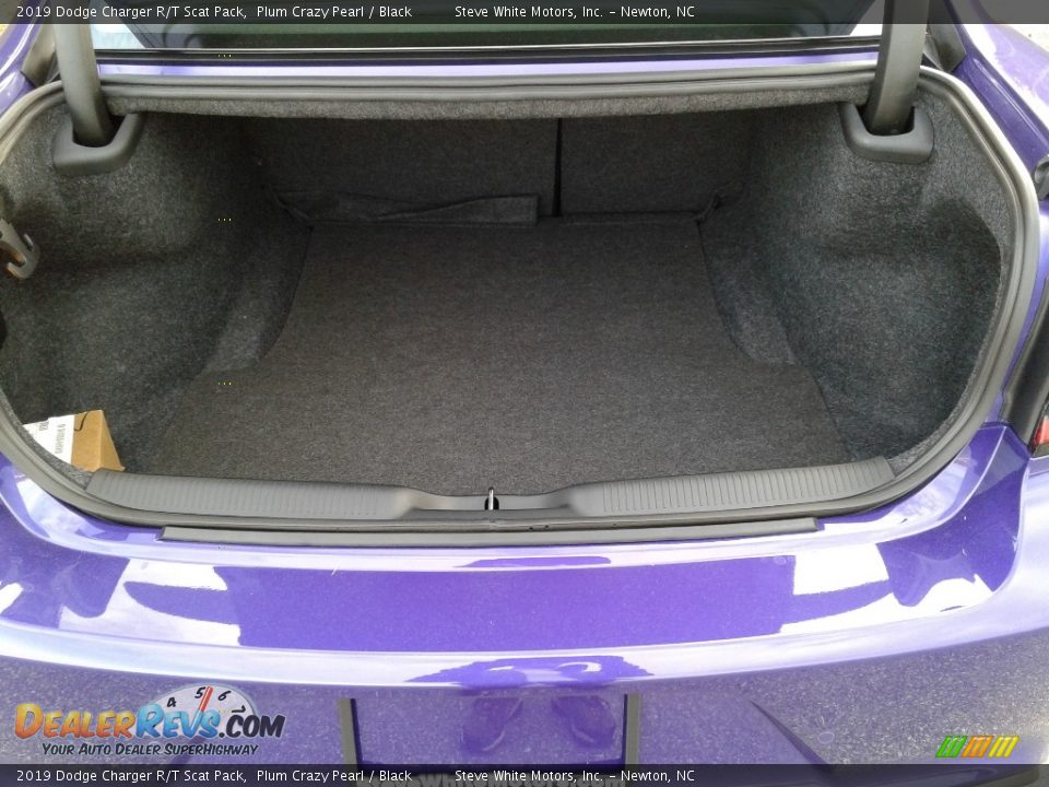 2019 Dodge Charger R/T Scat Pack Plum Crazy Pearl / Black Photo #12