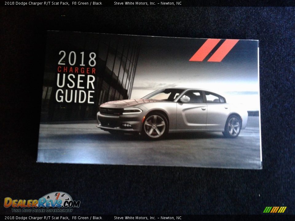 2018 Dodge Charger R/T Scat Pack F8 Green / Black Photo #36