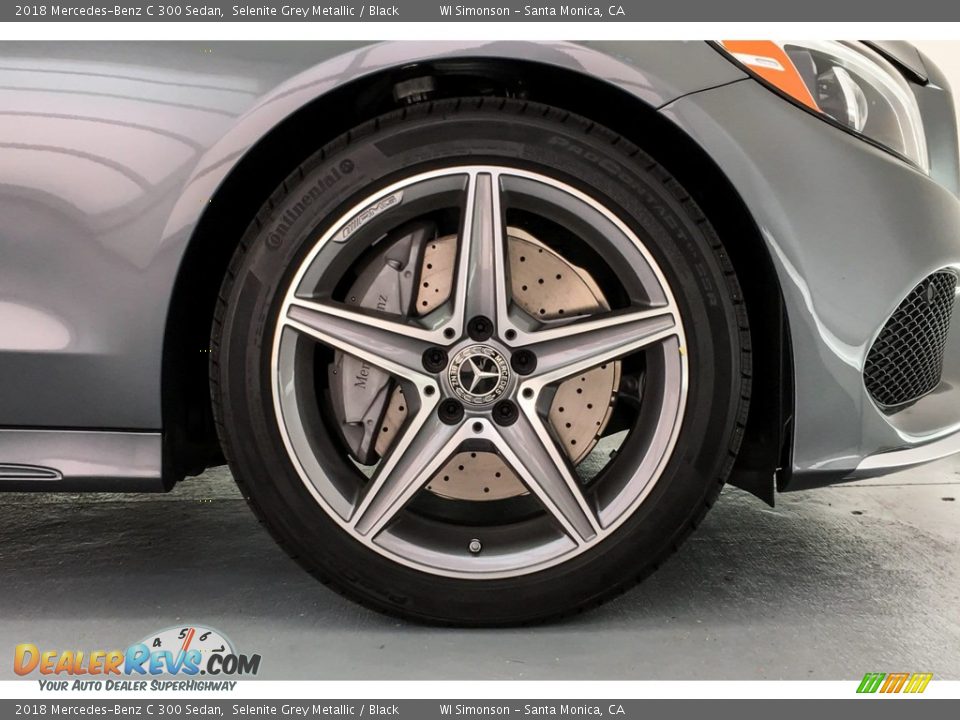 2018 Mercedes-Benz C 300 Sedan Selenite Grey Metallic / Black Photo #9
