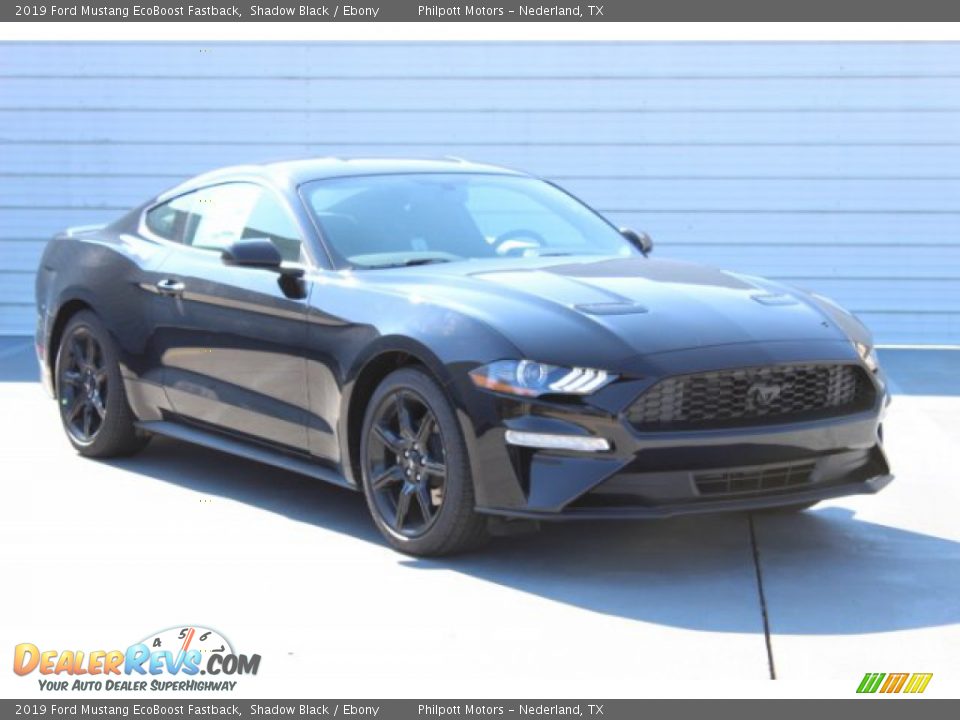 2019 Ford Mustang EcoBoost Fastback Shadow Black / Ebony Photo #2